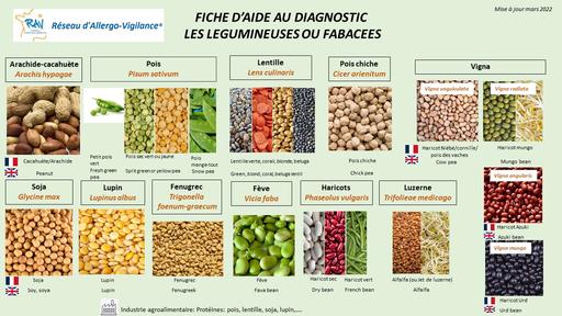 Légumineuses - identification