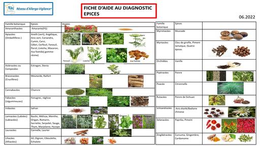 Epices - identification